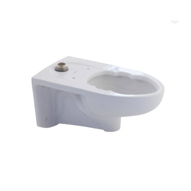 Afwall® Millennium® 1.1 – 1.6 gpf Elongated Wall-Hung Bowl with BedPan Lugs