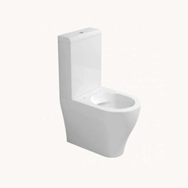 AP116G Floorstanding Toilet