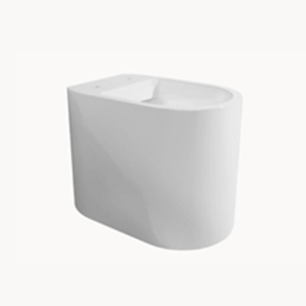 AS117G Floorstanding Toilet