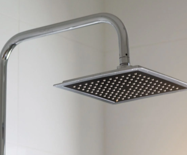 Shower Arms